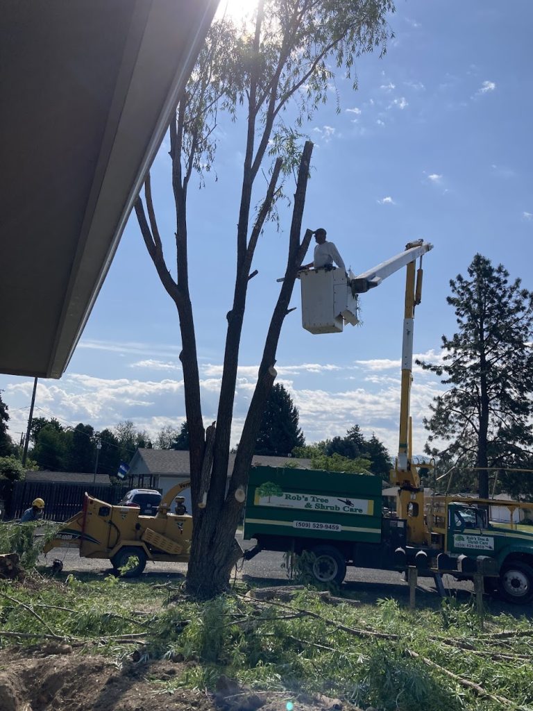Rob’s Tree & Shrub Care