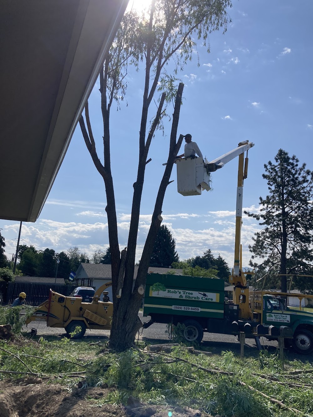 Rob’s Tree & Shrub Care