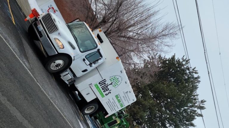 Uribe’s Tree Service LLC