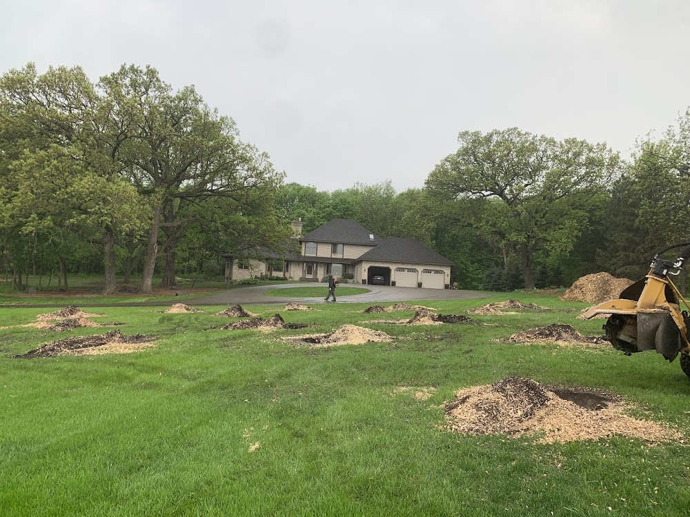 ByeBye Stumps