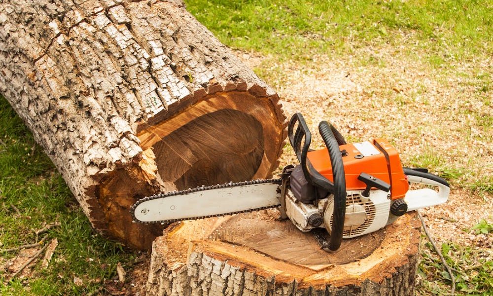 KLW Tree Service