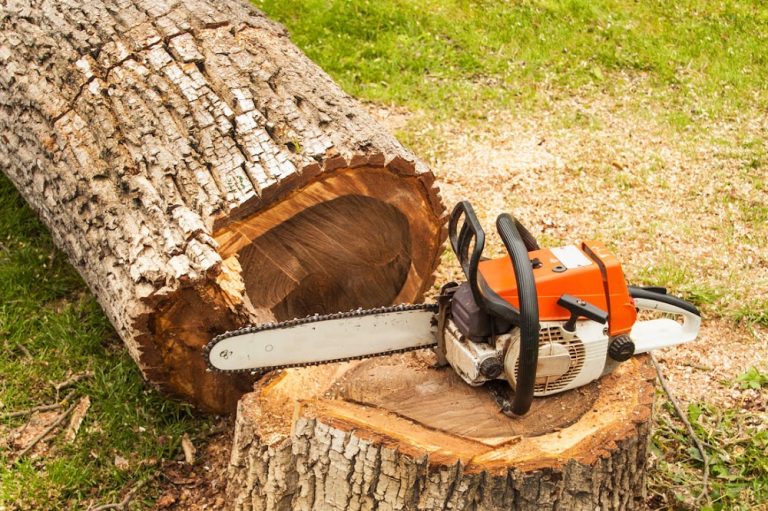 KLW Tree Service