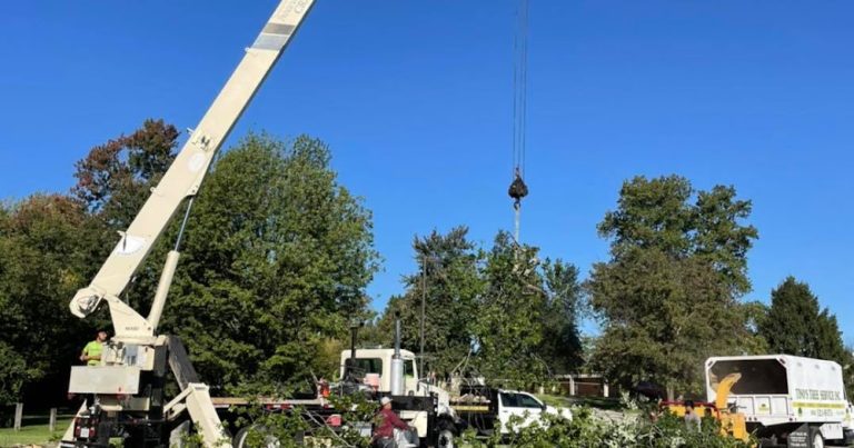 Tino’s Tree Service