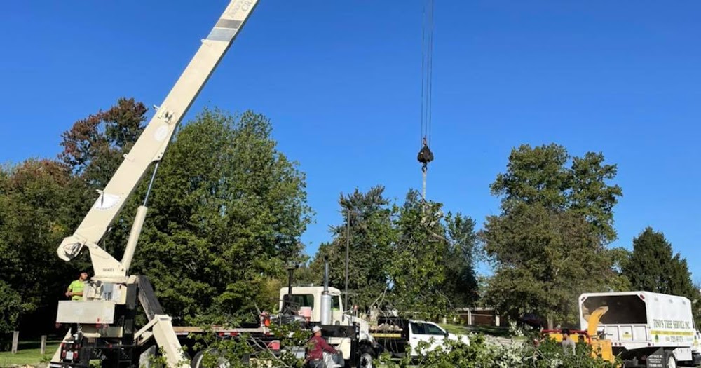 Tino’s Tree Service