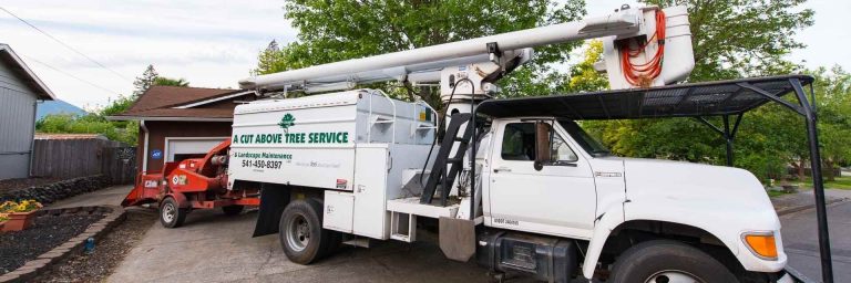 A Cut Above Tree Service