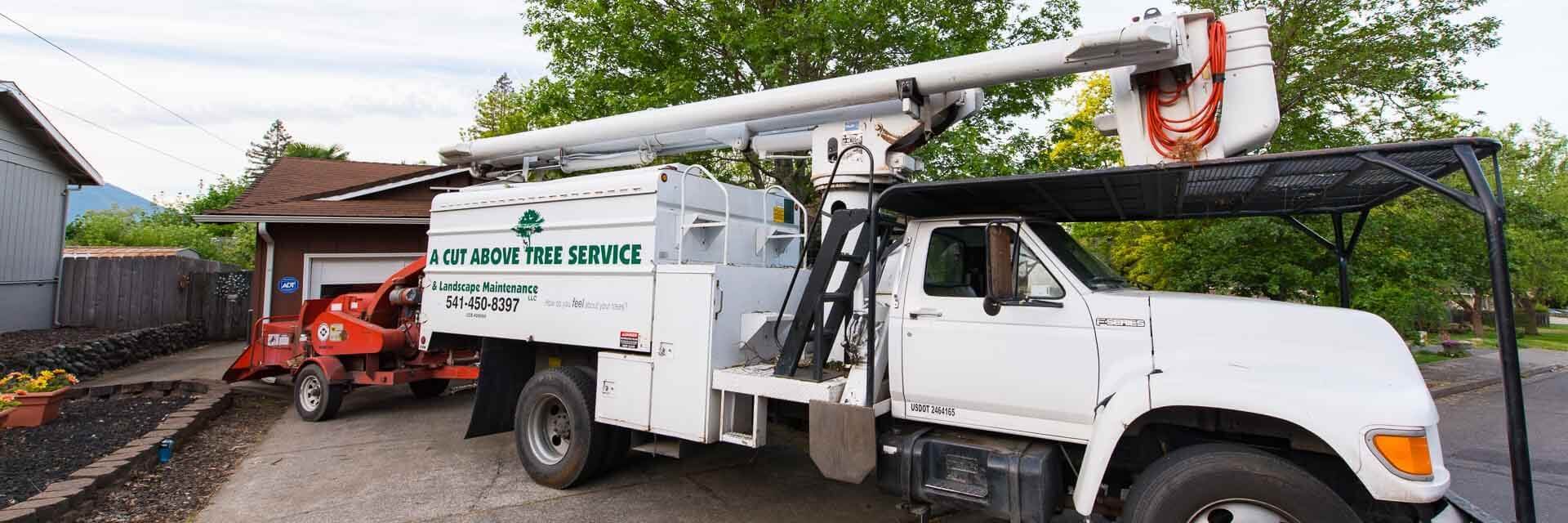 A Cut Above Tree Service