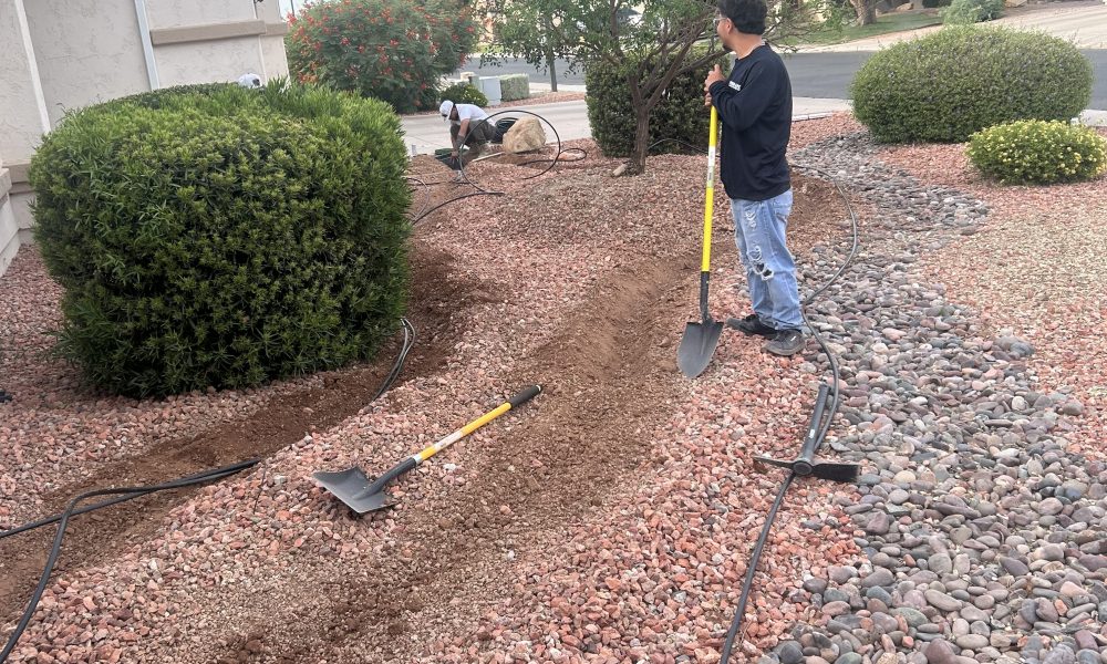E&P Landscape Service and Solutions