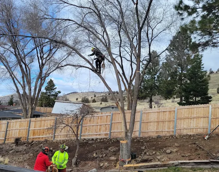 Goldanbrown Tree Service