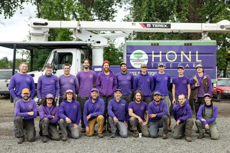 Honl Tree Care Inc