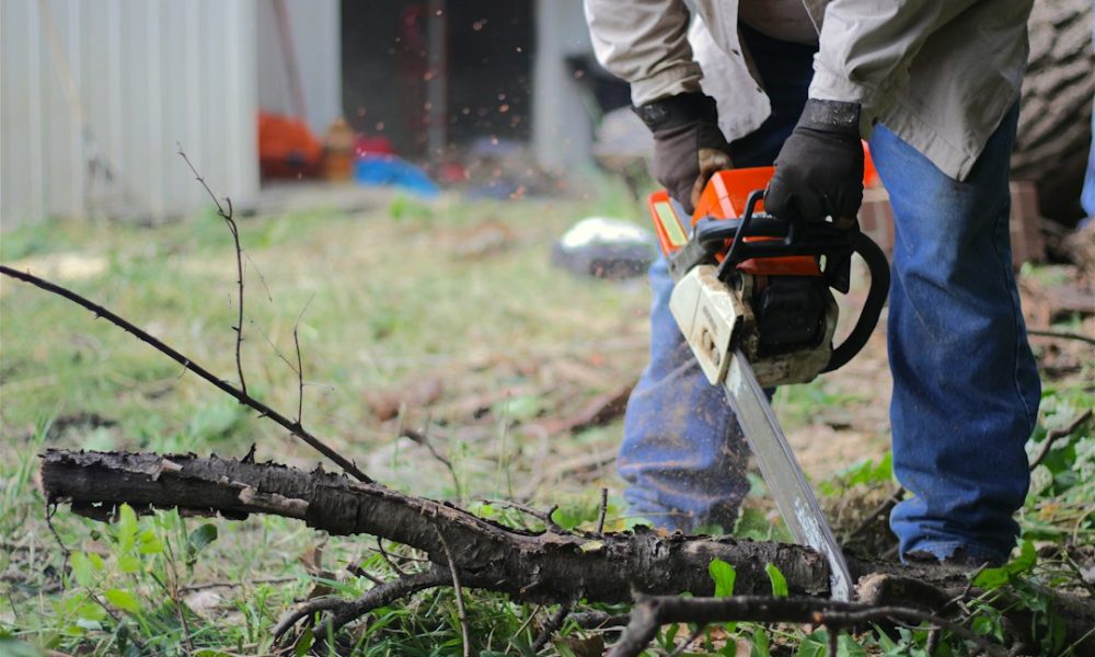 Illustrative photo of tree work, not Idaho Tree Solutions staff