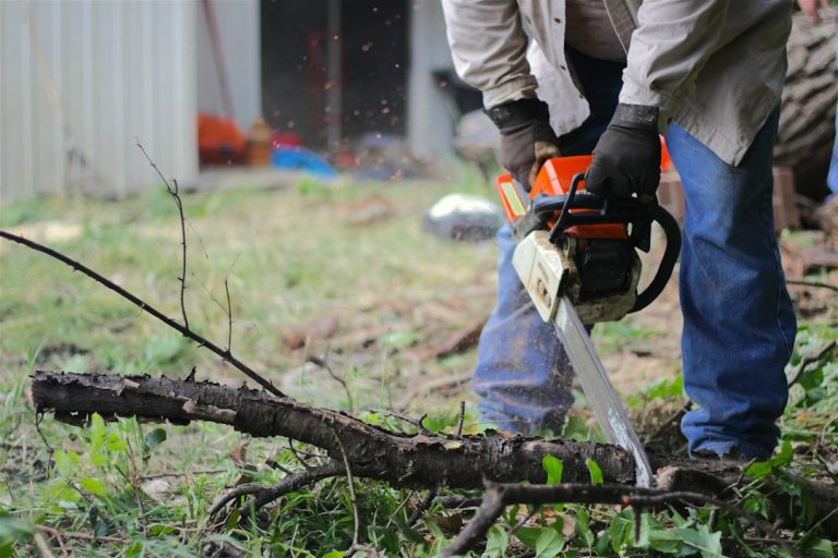 Idaho Tree Solutions