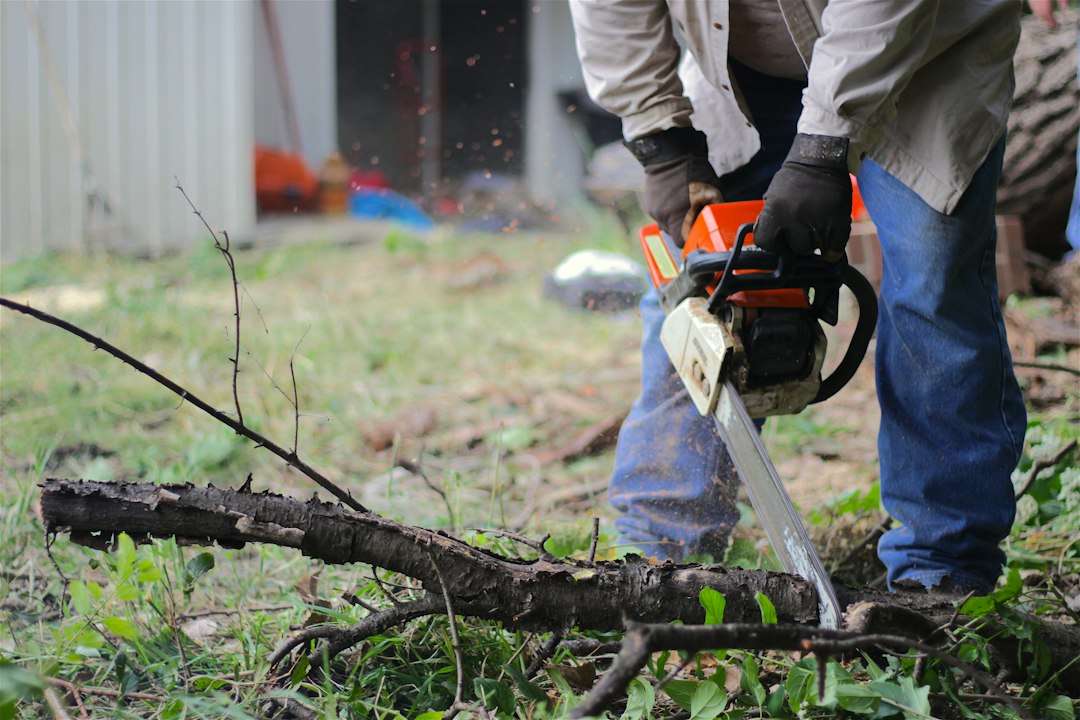 Idaho Tree Solutions