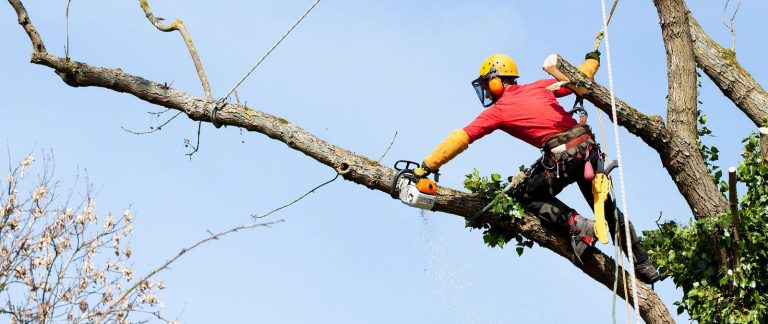 JOTS Tree Service
