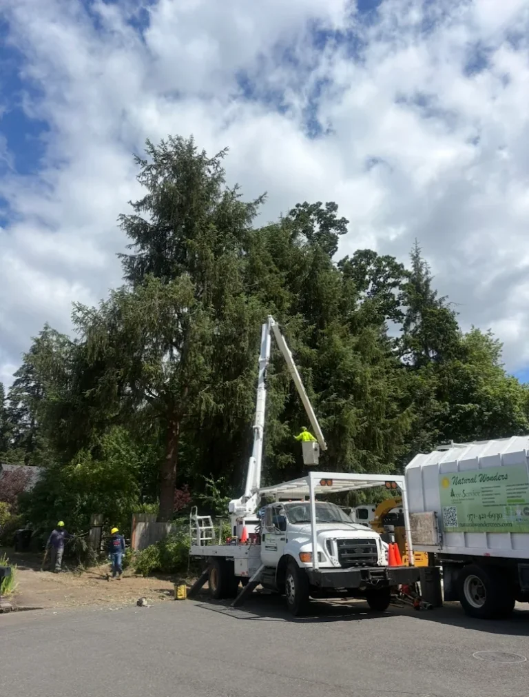 Natural Wonders Tree Service
