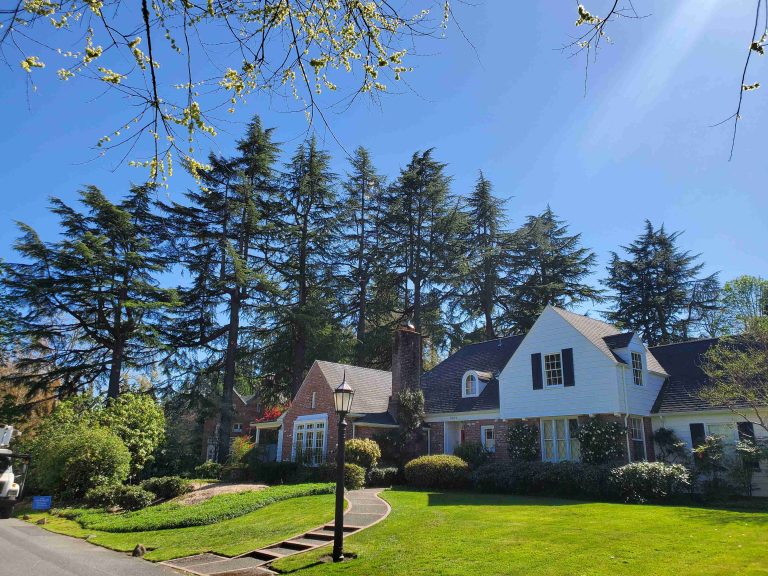 Oregon Tree Technology