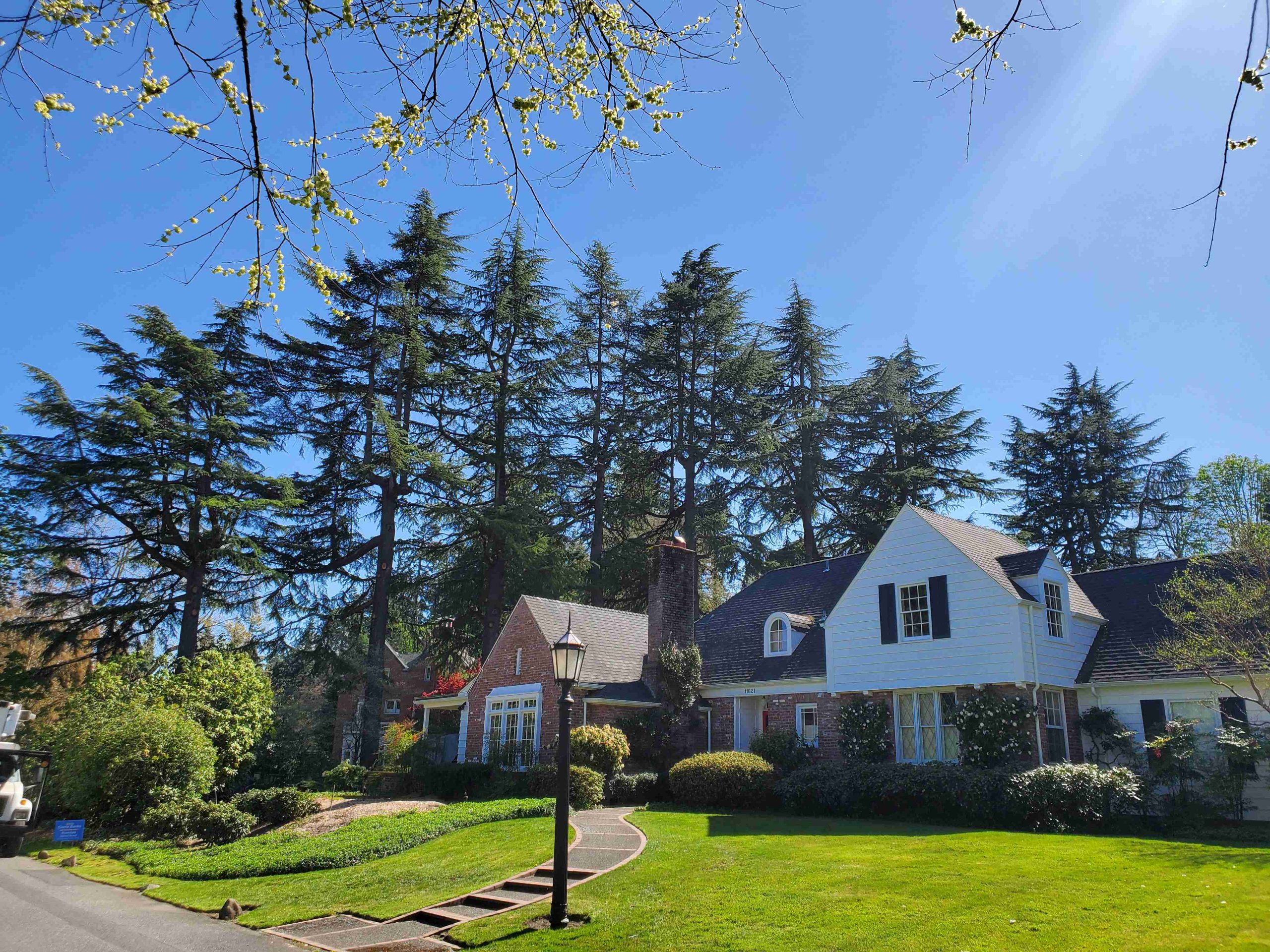 Oregon Tree Technology