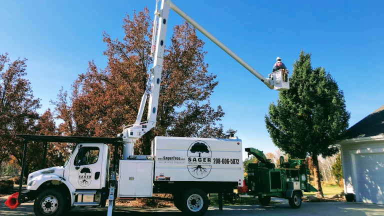 Sager Professional Tree Management