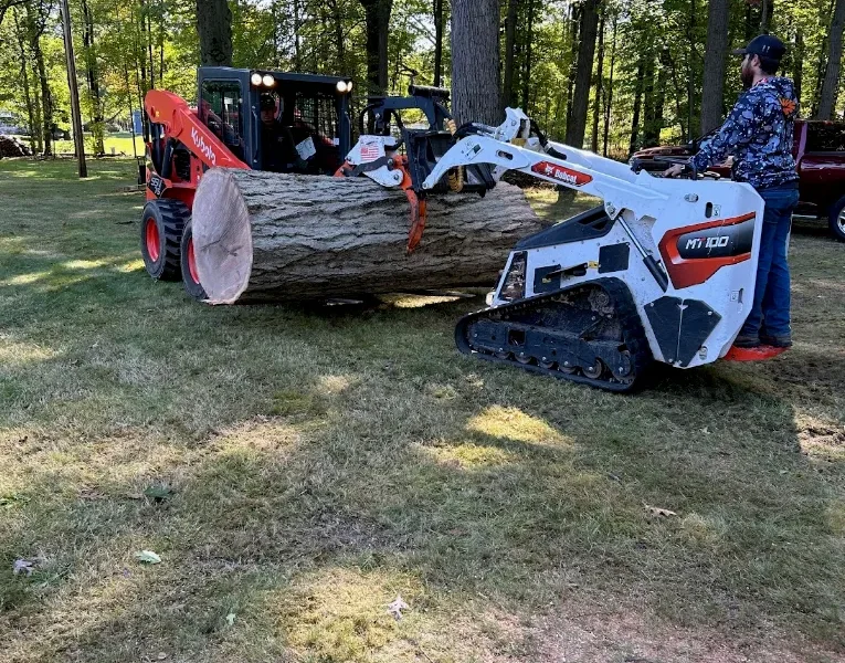 Wilschek Tree Service