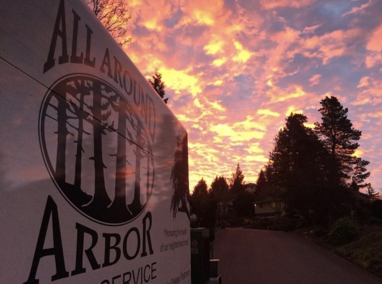 All Around Arbor Tree Service of Portland