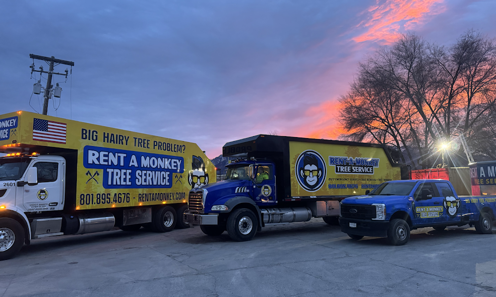 Rent A Monkey Tree Service